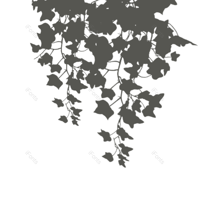 叶子图片,树叶元素,灰色PNG,阳光免抠素材